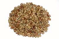 HORSE GRAM 200G KOLLU (கொள்ளு பருப்பு |200G)