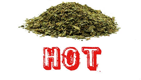 Midwakh Boder Hot Original - Hachi Tobacco Dubai UAE