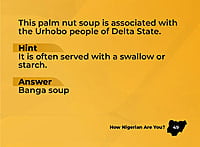 How Nigerian Are You (2nd Edition)