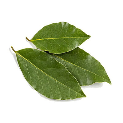 Huile essentielle de Laurier