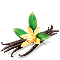 Huile essentielle de Vanille Huile essentielle de Vanille