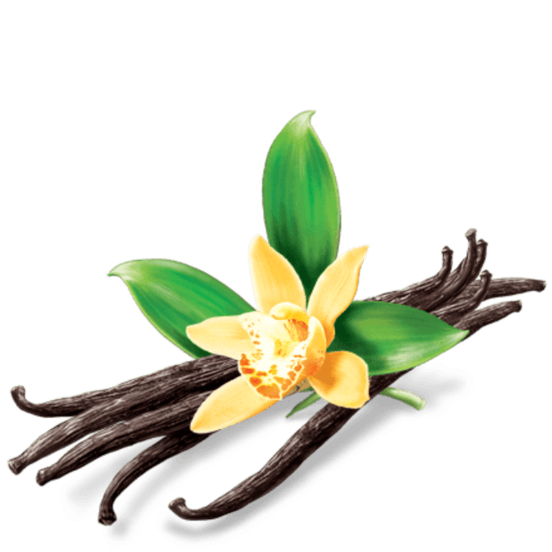 Huile essentielle de Vanille Huile essentielle de Vanille