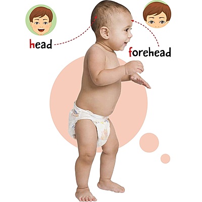 My AR Book of Animals, Vehicles, Human Body, Opposite & Shapes - Set of 4 Early Learning Books