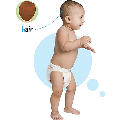 My AR Book of Animals, Vehicles, Human Body, Opposite & Shapes - Set of 4 Early Learning Books