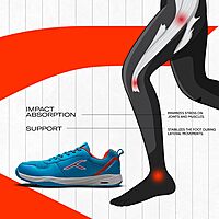 Hundred Court Shield