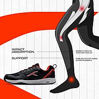 Hundred Court Shield