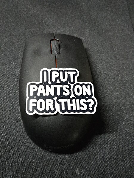 I Put Pants On for This Sticker
