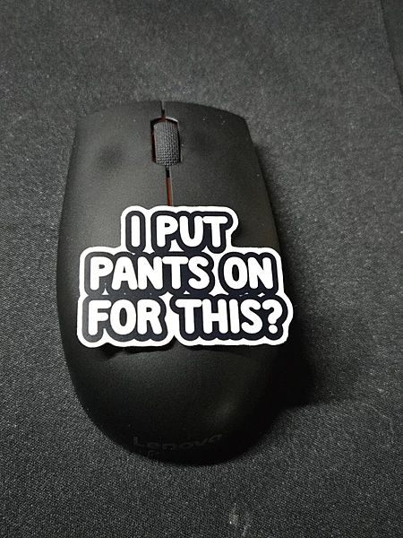 I Put Pants On for This Sticker