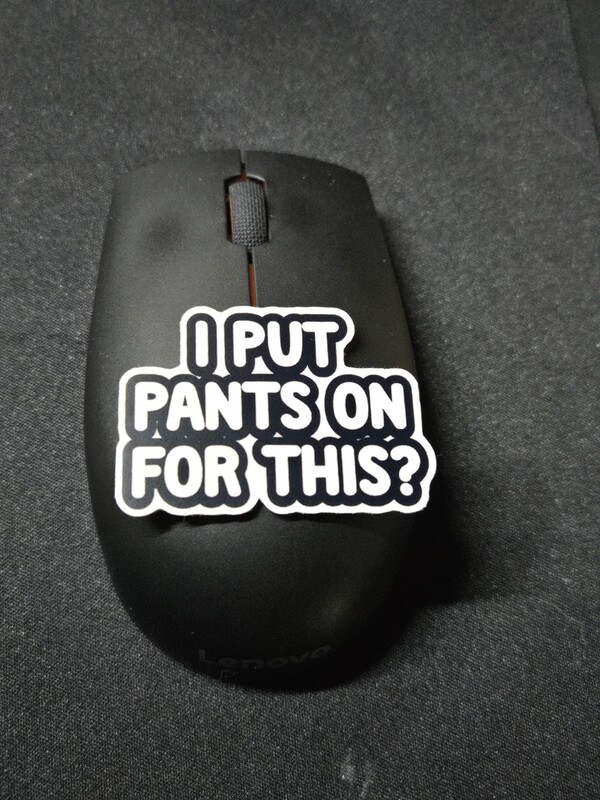 I Put Pants On for This Sticker