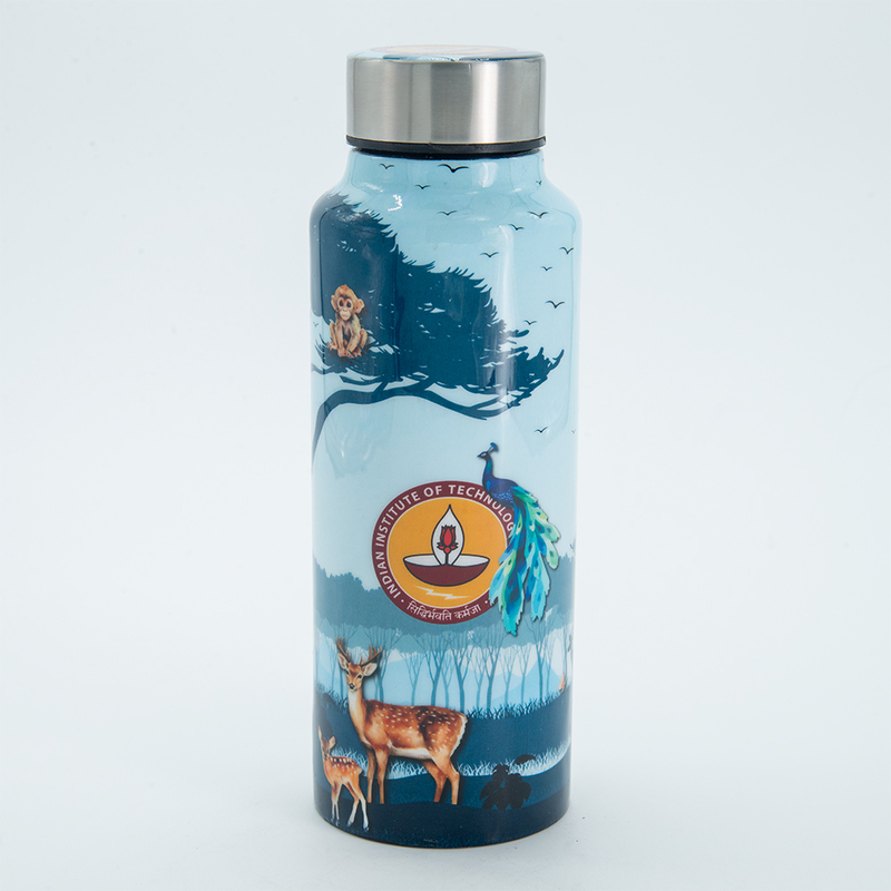 IITM world stainless steel water bottle