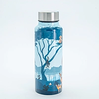 IITM world stainless steel water bottle