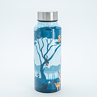IITM world stainless steel water bottle