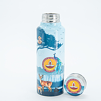 IITM world stainless steel water bottle