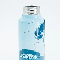 IITM world stainless steel water bottle