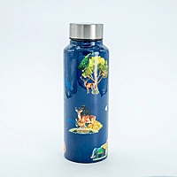 IITM Nature stainless steel water bottle