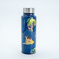 IITM Nature stainless steel water bottle