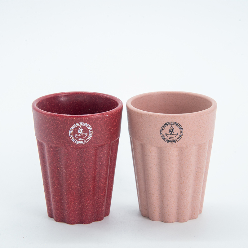 IITM Eco-Chai Cup Maroon & Peach