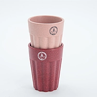 IITM Eco-Chai Cup Maroon & Peach