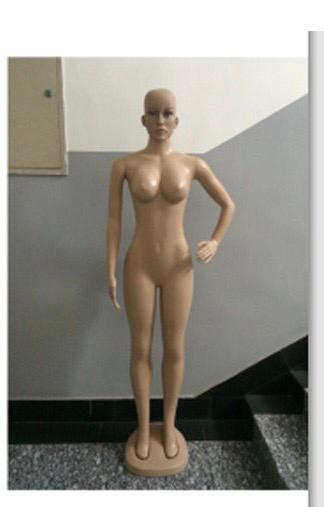 Adanne Size 10 Bald Head FRP Unbreakable Plastic Non- Detachable Foreign Female Mannequin
