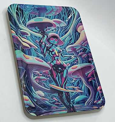 Charola Metalica chica Generica 14x18 cm