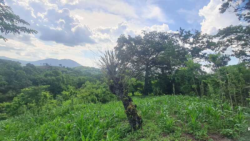 TERRENO EN TONACATEPEQUE