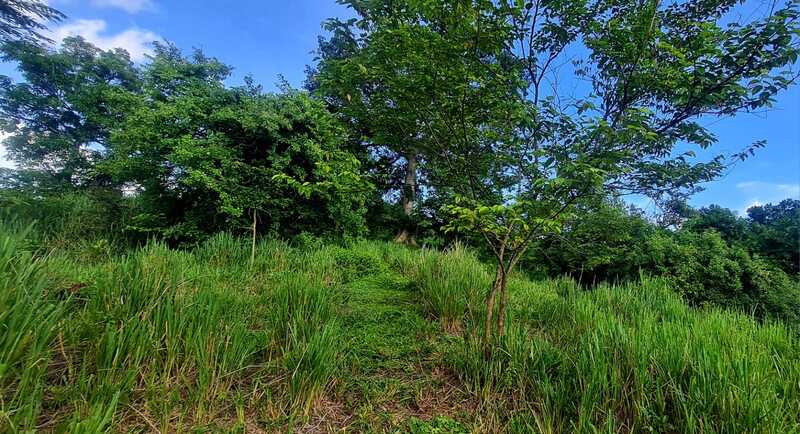 TERRENO EN TONACATEPEQUE