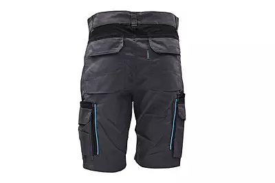 Everest Protek Shorts