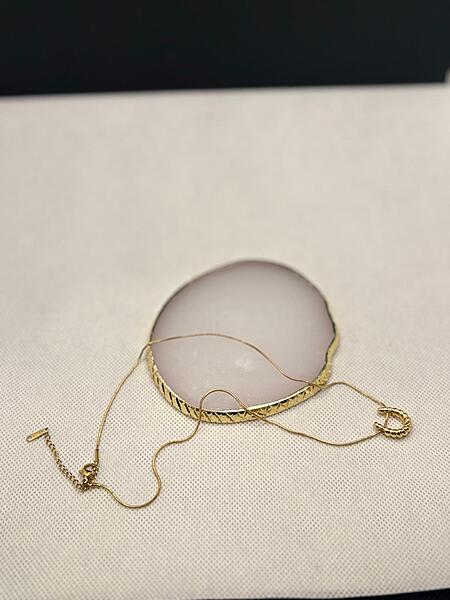 Lucky Minimalist Gold Horseshoe Necklace