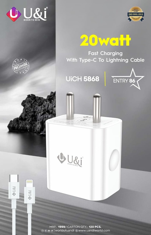 25Watt Type C Adapter