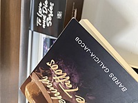 To Live and Die & To Live for Love) by barbsgalicia