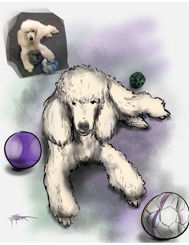 Customizable Cartoon Caricatures