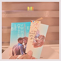 Love Between The Lies