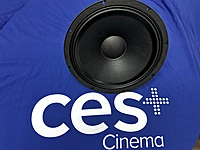 Dolby DRIVER BASS 15 500W 8OHM