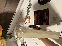 Scandalous Affair by Aymi Lu