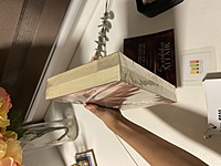 Scandalous Affair by Aymi Lu