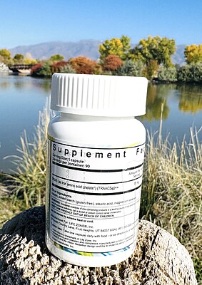 Amino Key® Iron (3 month supply) Amino Key® Iron (3 month supply)