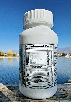 Amino Key® Foundation Amino Key® Foundation