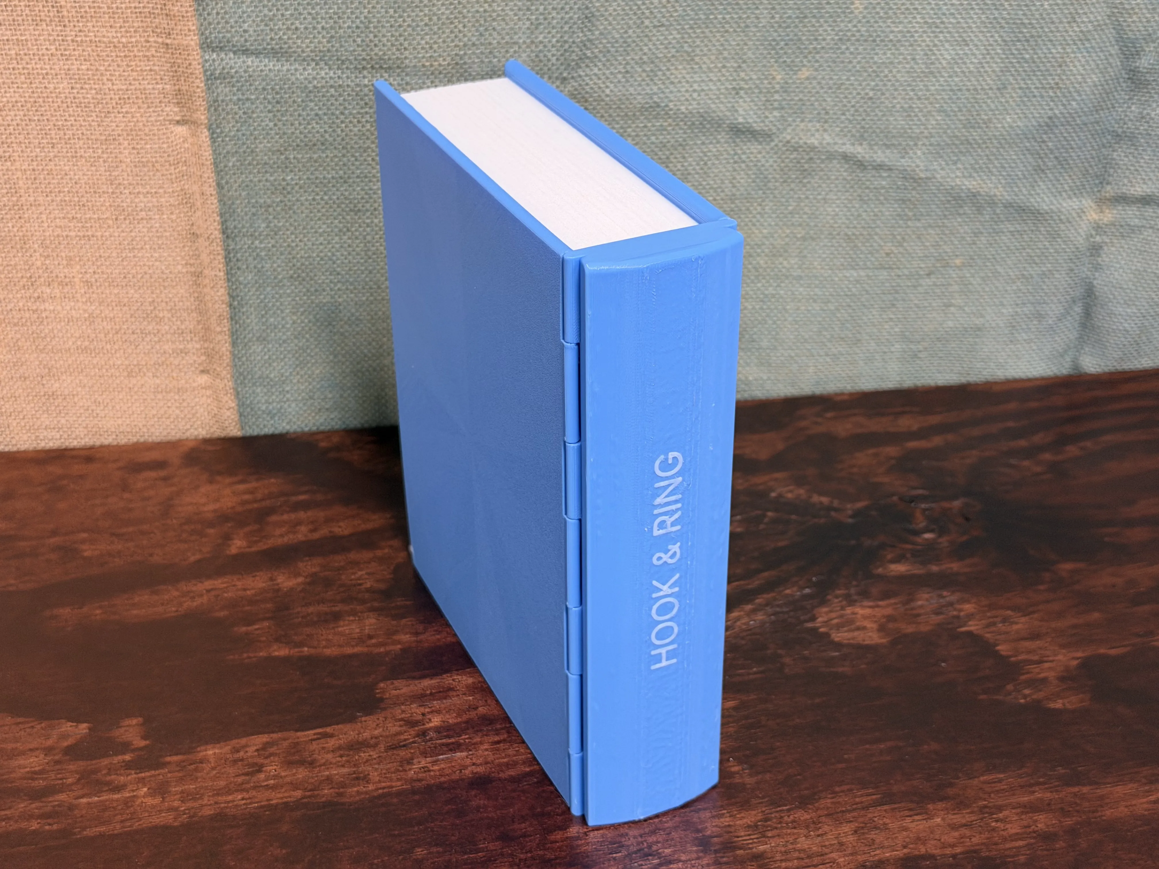 Hook and Loop - Game in a Book