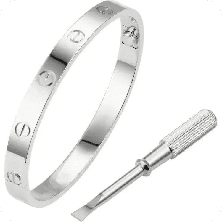 Sebastian Bracelet Silver, Brushed Finish