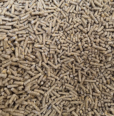 20% Layer Pellets