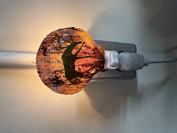 Luminous Birch Haven Shell Nightlight Luminous Birch Haven Shell Nightlight