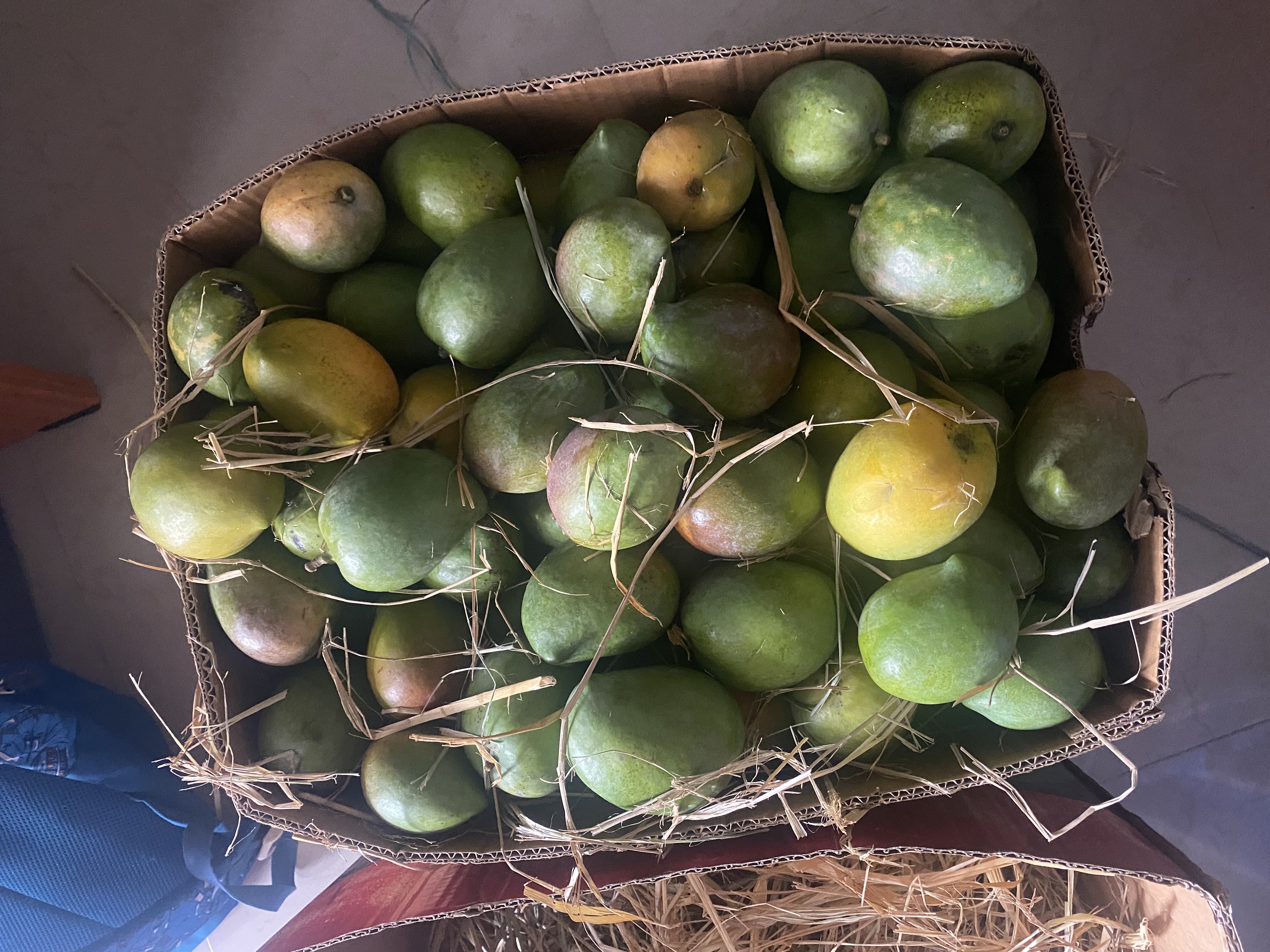 Mango 5Kg Pack