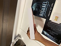 When He Pleaded Guilty