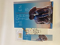 Love Between The Lies