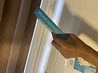 Love Between The Lies