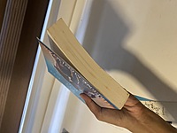 Love Between The Lies