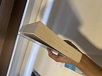 Love Between The Lies