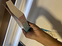 Love Between The Lies