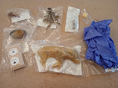 Biology Specimens