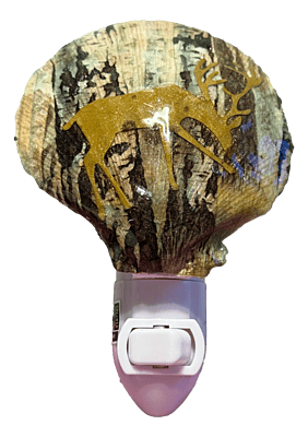 Luminous Birch Haven Shell Nightlight